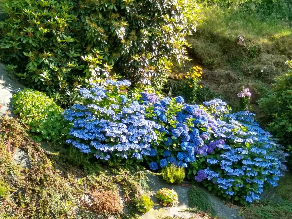 Les Hortensias La Poultiere Exterior photo